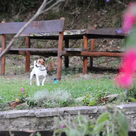 Il Molino Di Serravalle