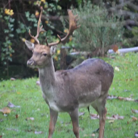 Hébergement de vacances Il Molino Di Serravalle Bibbiena