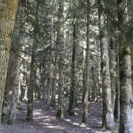 Il Molino Di Serravalle Nyaraló Bibbiena