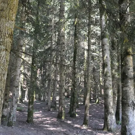 Il Molino Di Serravalle Hébergement de vacances Bibbiena