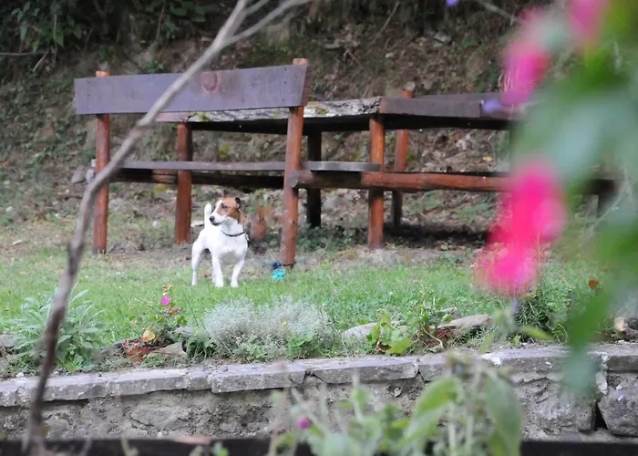 Il Molino Di Serravalle